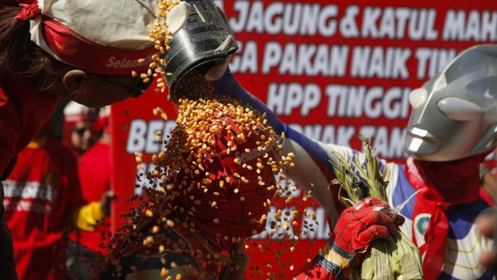 Aksi damai peternak ayam Anggota Peternak Ayam Rakyat Solo Raya melakukan mandi jagung saat aksi damai menyikapi harga jagung pakan ternak yang mahal di kawasan Gladak, Solo, Jawa Tengah, Selasa (26/8/2025). Dalam aksinya, mereka meminta agar pemerintah memberikan perlindungan bagi peternak. ANTARAFOTO/Maulana Surya/YU *** Local Caption ***