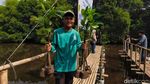 Aksi Tanam Ribuan Mangrove di Jakarta, Jaga Laut dan Pesisir