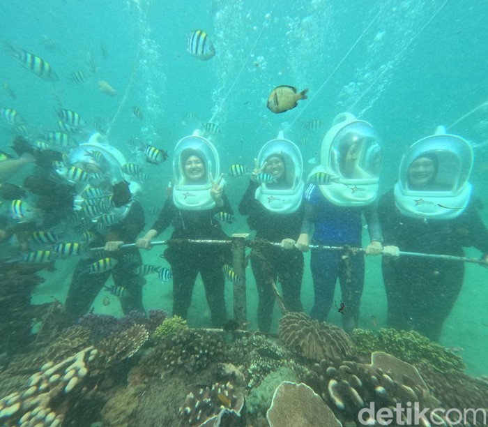 Aktivitas sea walker di Nusa Dua, Bali