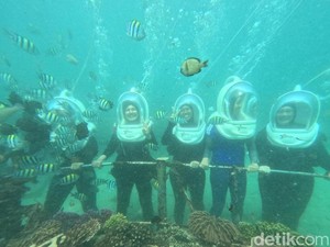 Aktivitas Seru Sea Walking di Bali: Berjalan di Dasar Laut Tanpa Berenang