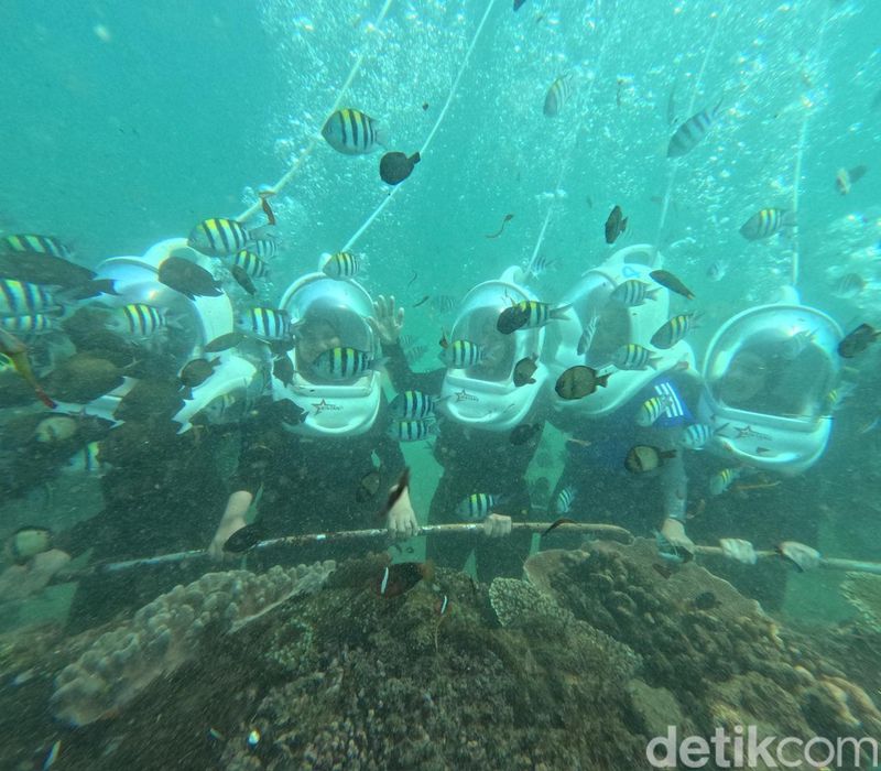 Aktivitas sea walker di Nusa Dua, Bali