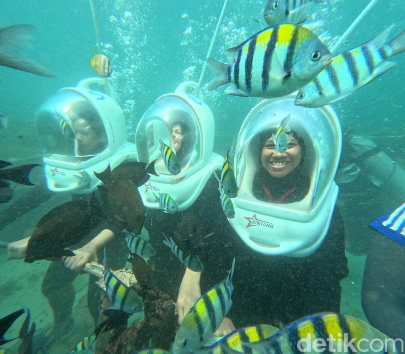 Aktivitas sea walker di Nusa Dua, Bali