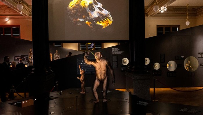 CZECH-SKELETON/LUCY Hyperrealistic reconstruction models of human ancestors, Australopithecus afarensis known as Lucy and Selam, are displayed alongside their original skeletal remains, for the first time in Europe, at the National Museum in Prague, Czech Republic, August 25, 2025. REUTERS/Eva Korinkova TPX IMAGES OF THE DAY