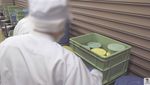 Mengintip Kesibukan Dapur Penjara Jepang Bikin Menu Sejak Pukul 4 Pagi