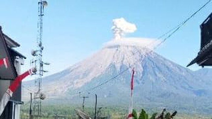 Gunung Semeru erupsi, Selasa (26/8) pagi dengan ketinggian kolam abu 500 meter