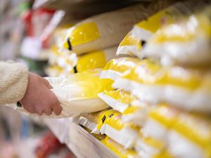 Stok Beras di Minimarket Makassar Kosong Diduga Dipicu Isu Oplosan