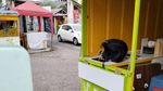 Duh! Booth Es Teler Kalina Oktarani Jadi Korban Vandalisme