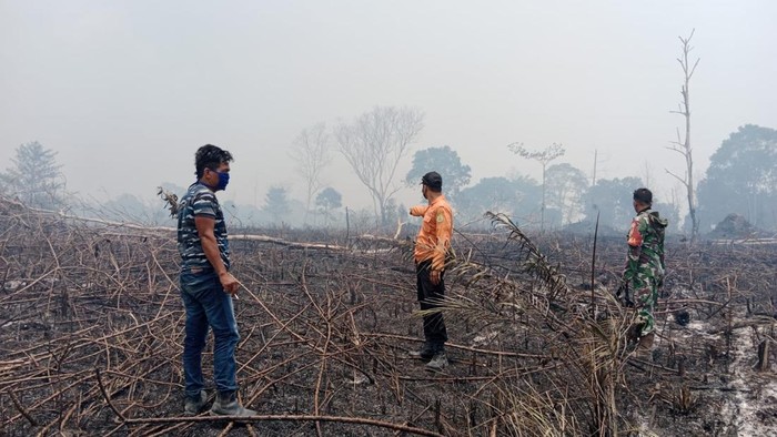 Karhutla di kawasa hutan lindung di Muba.
