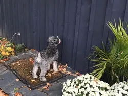 Kelakuan Hewan yang Bikin Senyum-senyum