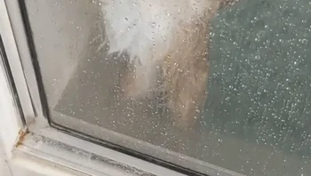 Histeris dipaksa mandi gegara keguyur saus bawang putih. Foto: via BrightSide