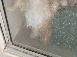 Kelakuan Hewan yang Bikin Senyum-senyum