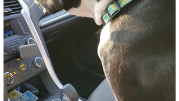 Jadi, ini tuh gunanya buat tempat tangan guguk ya? Foto: via BrightSide