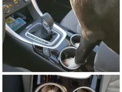 Kelakuan Hewan yang Bikin Senyum-senyum