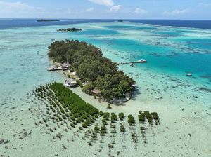 Video Pramono: Saya Yakin Masa Depan Jakarta Ada di Pulau Seribu