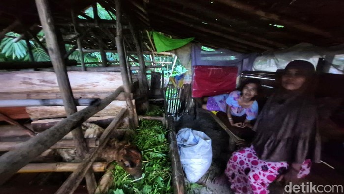Kisah Etin Tinggal di Kandang Domba, Bupati Sukabumi Turun Tangan