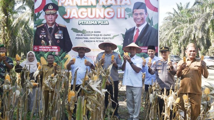 Polres Kampar panen 3 ton jagung mendukung ketahanan pangan nasional.