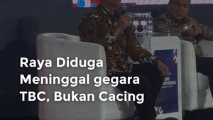 Video: Raya Diduga Meninggal gegara TBC, Bukan Cacing
