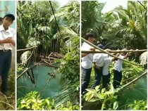 Respons Bupati Tanggamus Soal Pelajar Lintasi Jembatan Gantung Rusak