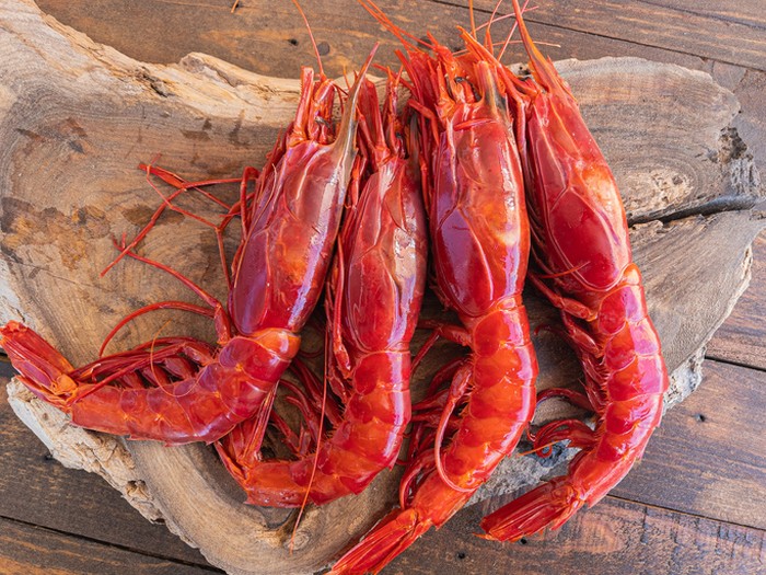 Udang carabineros