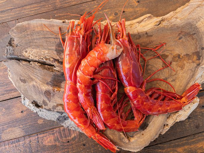 Udang carabineros