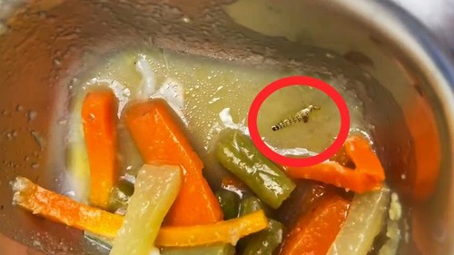 Seekor ulat ditemukan di menu MBG di SMA Negeri 1 Selong, Lombok Timur, NTB pada Senin (25/8/2025).