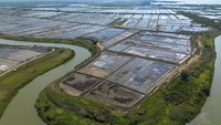 Foto udara hamparan tambak garam yang tidak diolah di Desa Bungko Lor, Kapetakan, Kabupaten Cirebon, Jawa Barat. Foto: ANTARA FOTO/Dedhez Anggara