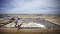 Petambak mengais sisa garam di kolam yang tergenang air hujan di Desa Bungko Lor, Cirebon, Jawa Barat, Rabu (27/8/2025). Foto: ANTARA FOTO/Dedhez Anggara
