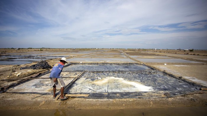 Cuaca Tak Bersahabat, Produksi Garam Rakyat di Cirebon Lumpuh Petambak mengais sisa garam di kolam yang terendam air di Desa Bungko Lor, Kapetakan, Kabupaten Cirebon, Jawa Barat, Rabu (27/8/2025). Petambak garam di daerah tersebut terpaksa menghentikan produksi karena masih sering terjadi hujan yang merusak produksi garam. ANTARA FOTO/Dedhez Anggara/agr