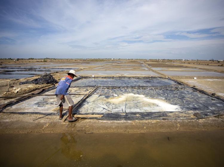 Cuaca Tak Bersahabat, Produksi Garam Rakyat di Cirebon Lumpuh