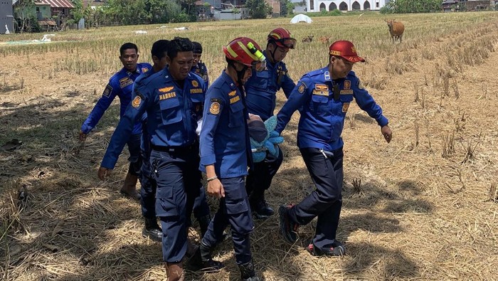 Damkar Barru tandu lansia stroke melewati sawah karena ambulans terhambat akses jalan.