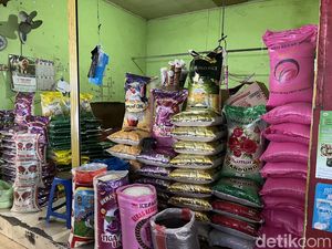 Biang Kerok Harga Beras Naik di Makassar