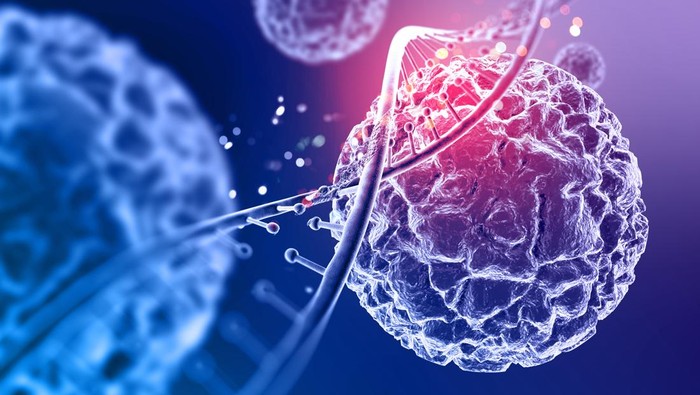 Ilustrasi stem cell