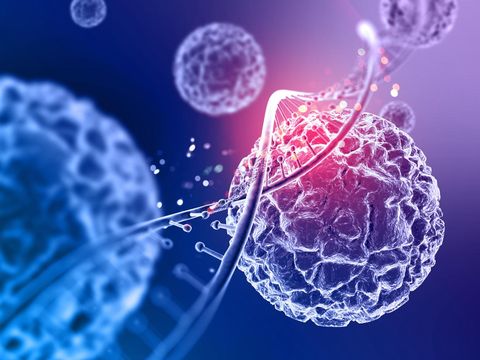 Ilustrasi Stem Cell Ilustrasi stem cell