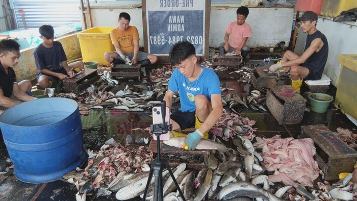 Kampung SIGGI, pemasok ikan giling sebagai bahan baku Pempek Palembang.