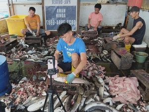 Melihat Sentra Ikan Gabus Giling, Pemasok Bahan Baku Pempek Palembang