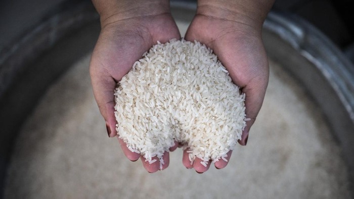Kenaikan harga beras Pekerja memindahkan karung beras di salah satu gudang beras di Dargo, Semarang, Jawa Tengah, Rabu (27/8/2025). Badan Pusat Statistik (BPS) mencatat pada pekan ketiga Agustus 2025 harga beras naik di 200 kabupaten/kota, dengan rata-rata beras medium Rp14.005–18.899 perkilogram dan beras premium Rp15.437–20.709 perkilogram atau melampaui harga eceran tertinggi (HET) yang ditetapkan Rp12.500–13.500 per kilogram untuk beras medium dan Rp14.900–15.800 kilogram untuk beras premium. ANTARA FOTO/Aprillio Akbar/agr