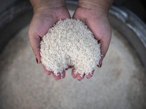 Terungkap Biang Kerok Harga Beras Masih Tinggi