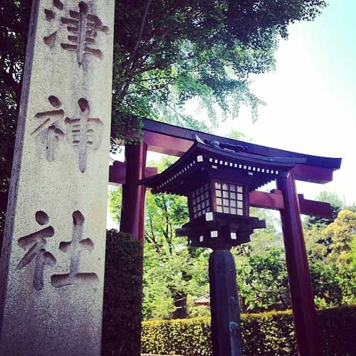 Kuil Nezu