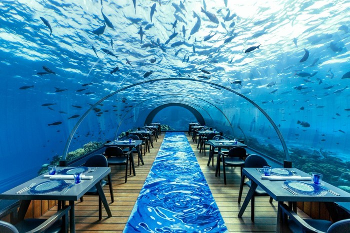 Makan di Bawah Laut? 10 Restoran Ini Tawarkan Pemandangan Mempesona Makan di Bawah Laut? 10 Restoran Ini Tawarkan Pemandangan Mempesona