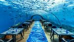 Makan di Bawah Laut? 10 Restoran Ini Tawarkan Pemandangan Mempesona