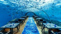 Di Maladewa, 5.8 Undersea Restaurant menawarkan pengalaman bersantap lima meter di bawah laut dengan terowongan kaca melengkung yang dikelilingi biota laut berwarna-warni. Foto: Site Culinary/Visual