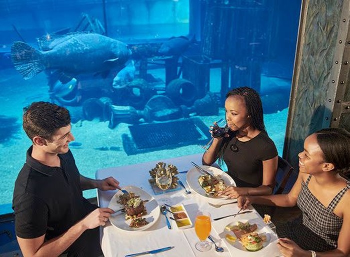 Makan di Bawah Laut? 10 Restoran Ini Tawarkan Pemandangan Mempesona Makan di Bawah Laut? 10 Restoran Ini Tawarkan Pemandangan Mempesona