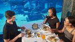 Makan di Bawah Laut? 10 Restoran Ini Tawarkan Pemandangan Mempesona