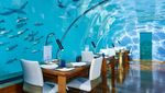 Makan di Bawah Laut? 10 Restoran Ini Tawarkan Pemandangan Mempesona