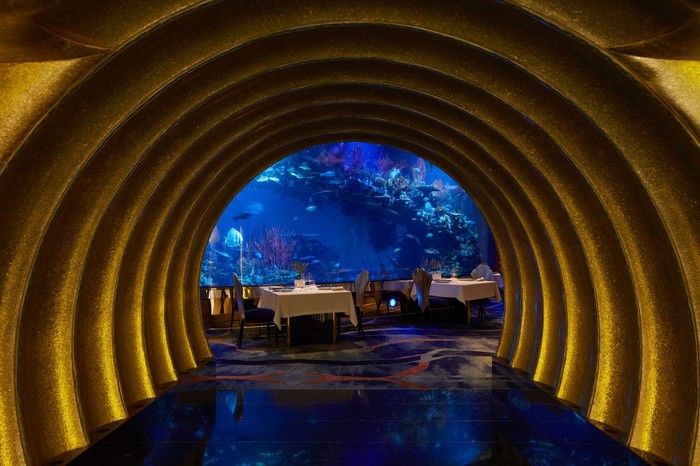 Makan di Bawah Laut? 10 Restoran Ini Tawarkan Pemandangan Mempesona Makan di Bawah Laut? 10 Restoran Ini Tawarkan Pemandangan Mempesona
