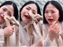 Makan Seafood Hidup, 4 Orang Ini Digigit Gurita hingga Udang!