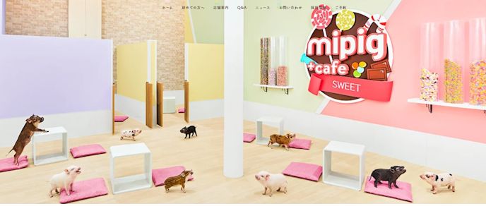 Mpig Cafe