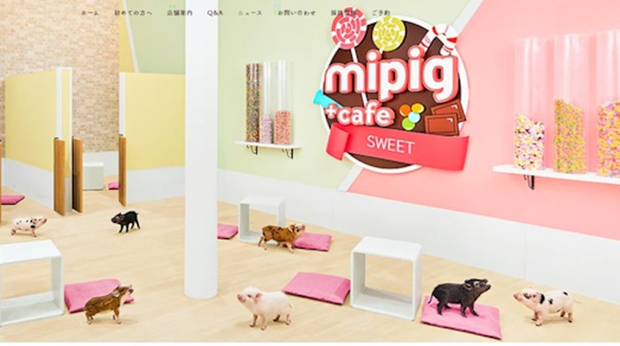 Mpig Cafe