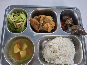 Dugaan Ompreng MBG Nonhalal, Begini Update dari BGN dan MUI