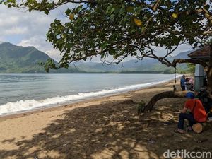 Hari Jadi Trenggalek, Tiket Pantai Prigi dan Angkutan Wisata Gratis!